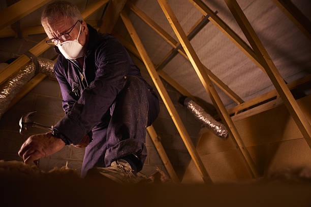 Best Eco-Friendly Insulation in Mount Holly, NC
